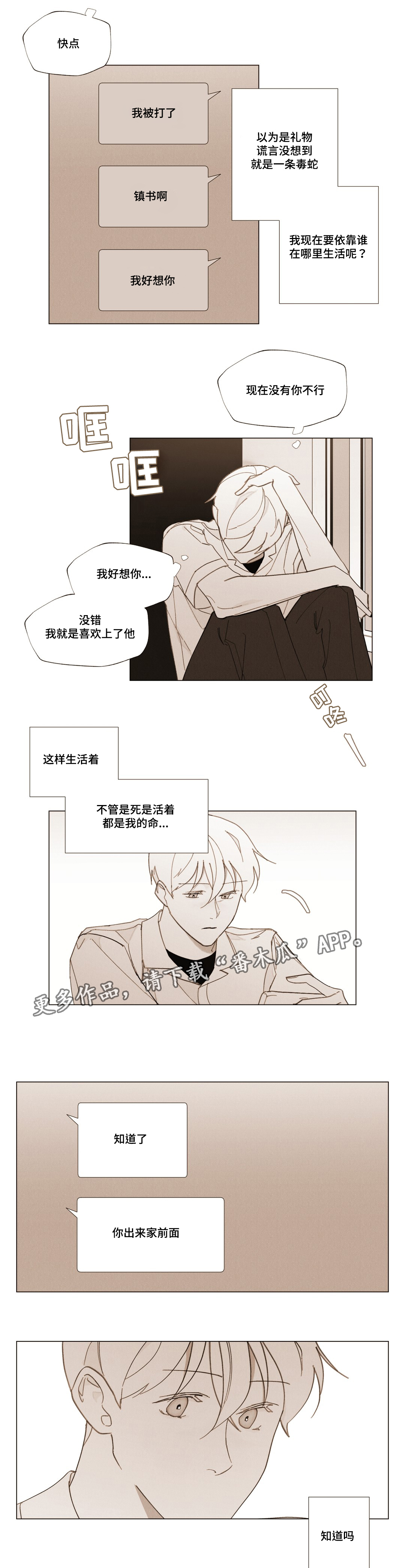 《真诚的世界》漫画最新章节第26章：浪漫的颜色免费下拉式在线观看章节第【3】张图片