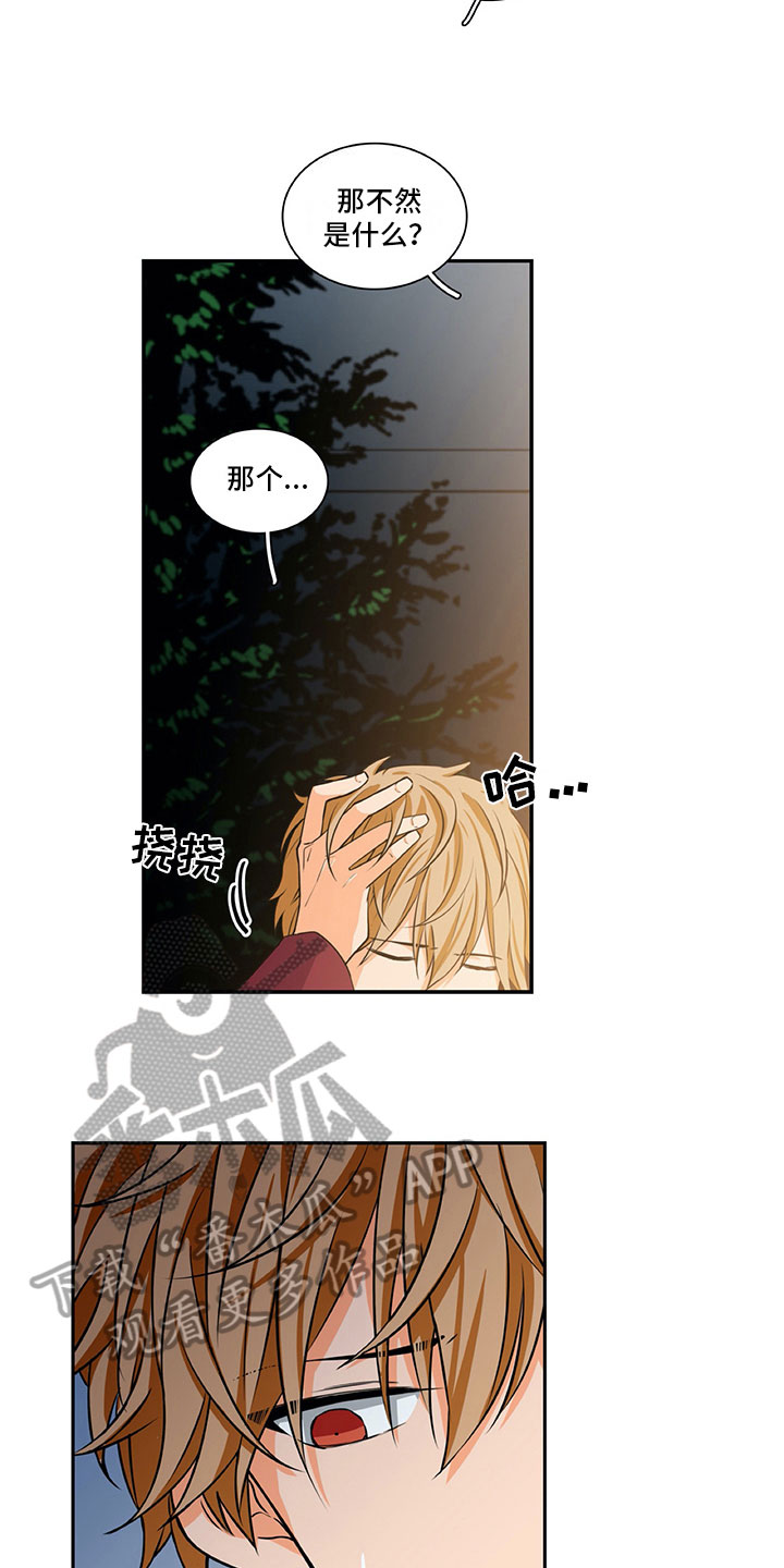 《男人的秘密》漫画最新章节第25章：酒后表白免费下拉式在线观看章节第【5】张图片