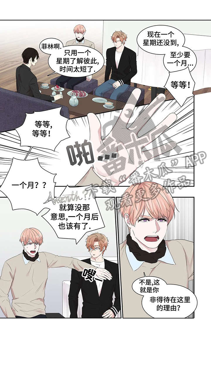 《月光独奏》漫画最新章节第30章：放弃免费下拉式在线观看章节第【8】张图片