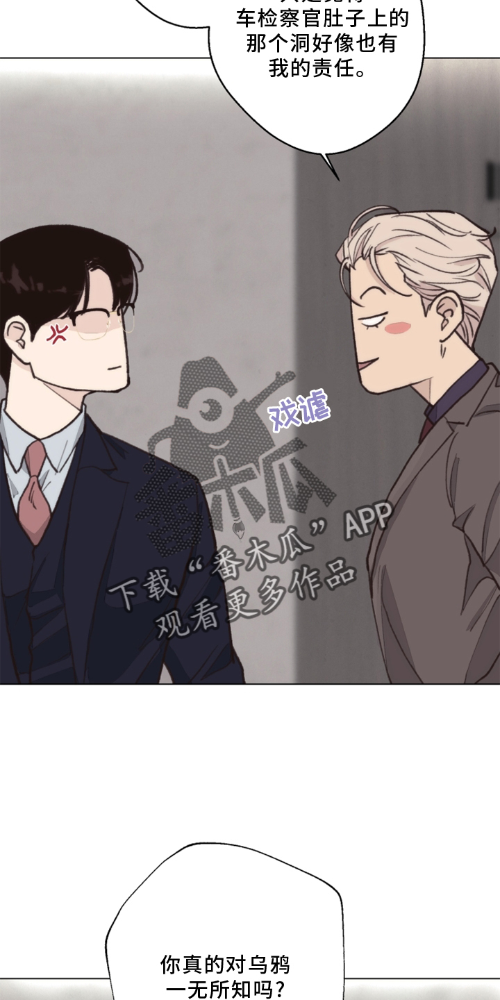 《法医疑云》漫画最新章节第108章：【番外】乌鸦免费下拉式在线观看章节第【2】张图片