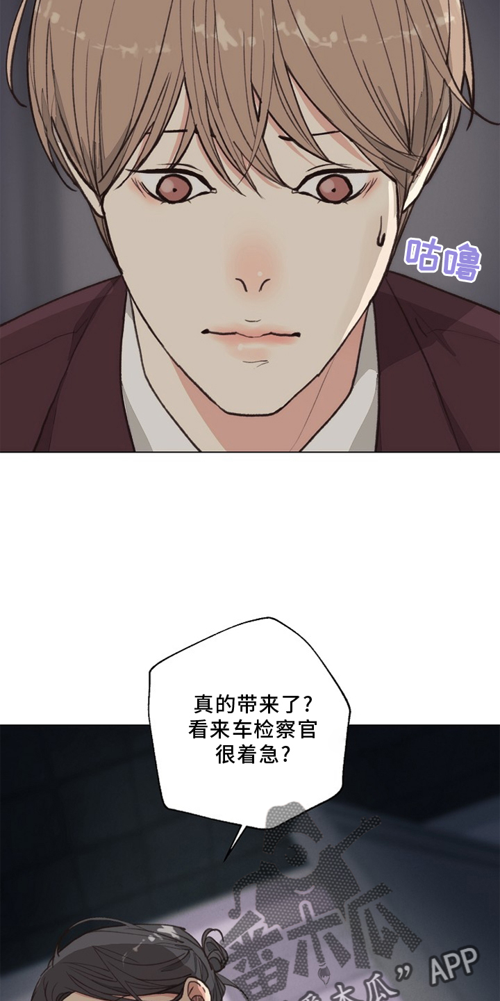 《法医疑云》漫画最新章节第118章：【番外】单独谈谈免费下拉式在线观看章节第【16】张图片