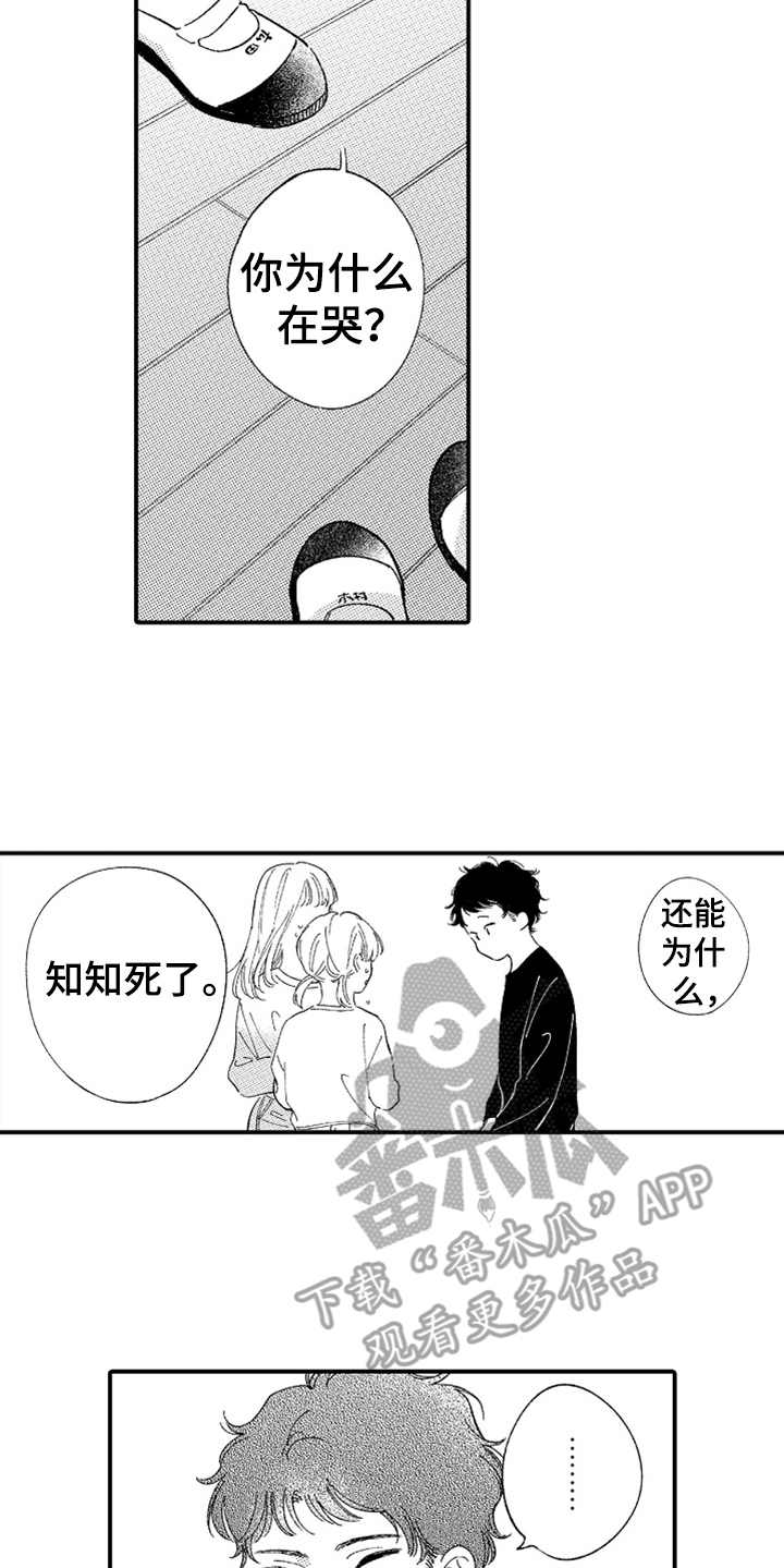 《为你疯狂》漫画最新章节第15章：无法理解免费下拉式在线观看章节第【10】张图片