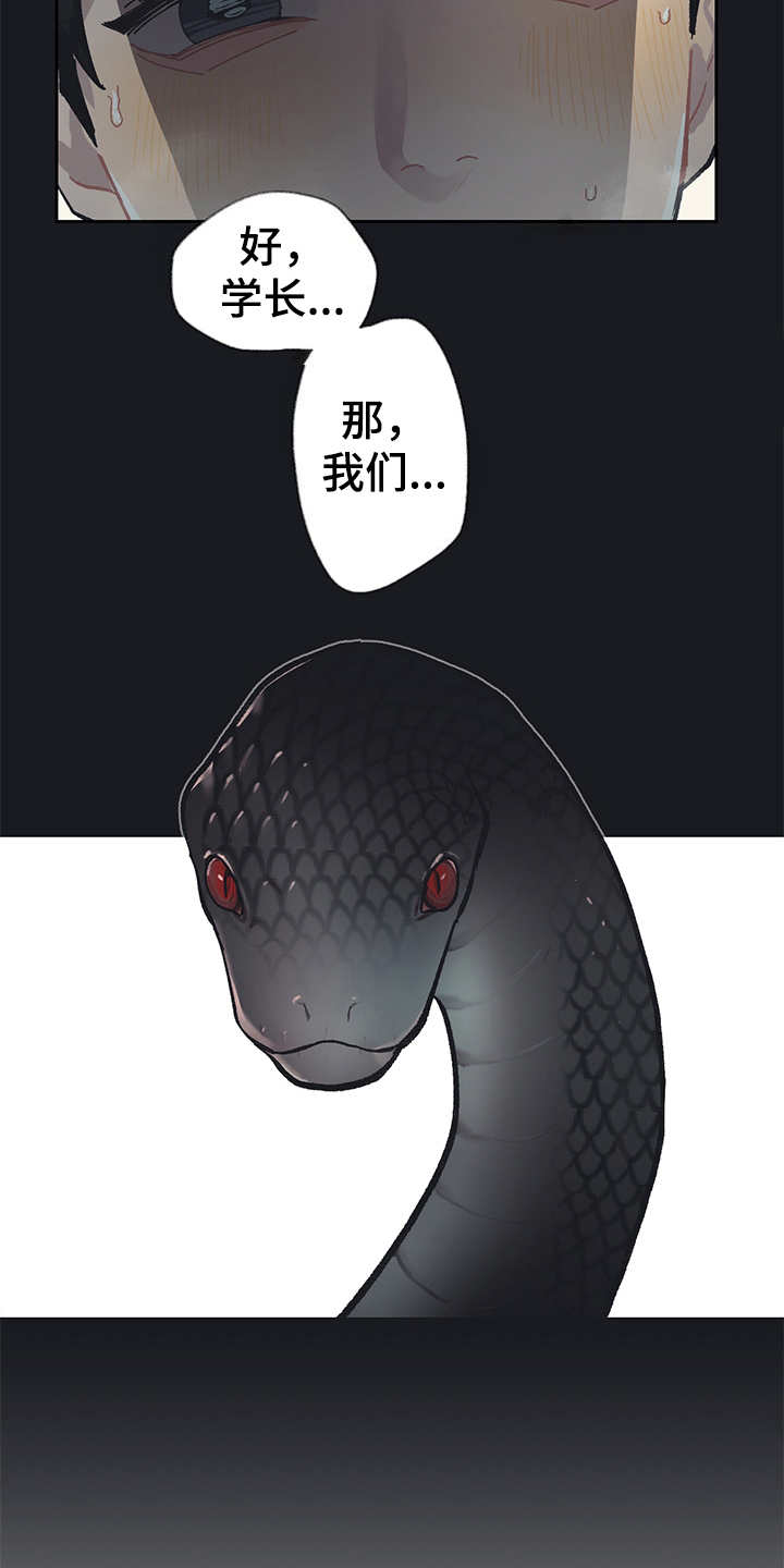 《惹祸上身》漫画最新章节第19章：毒蛇免费下拉式在线观看章节第【11】张图片