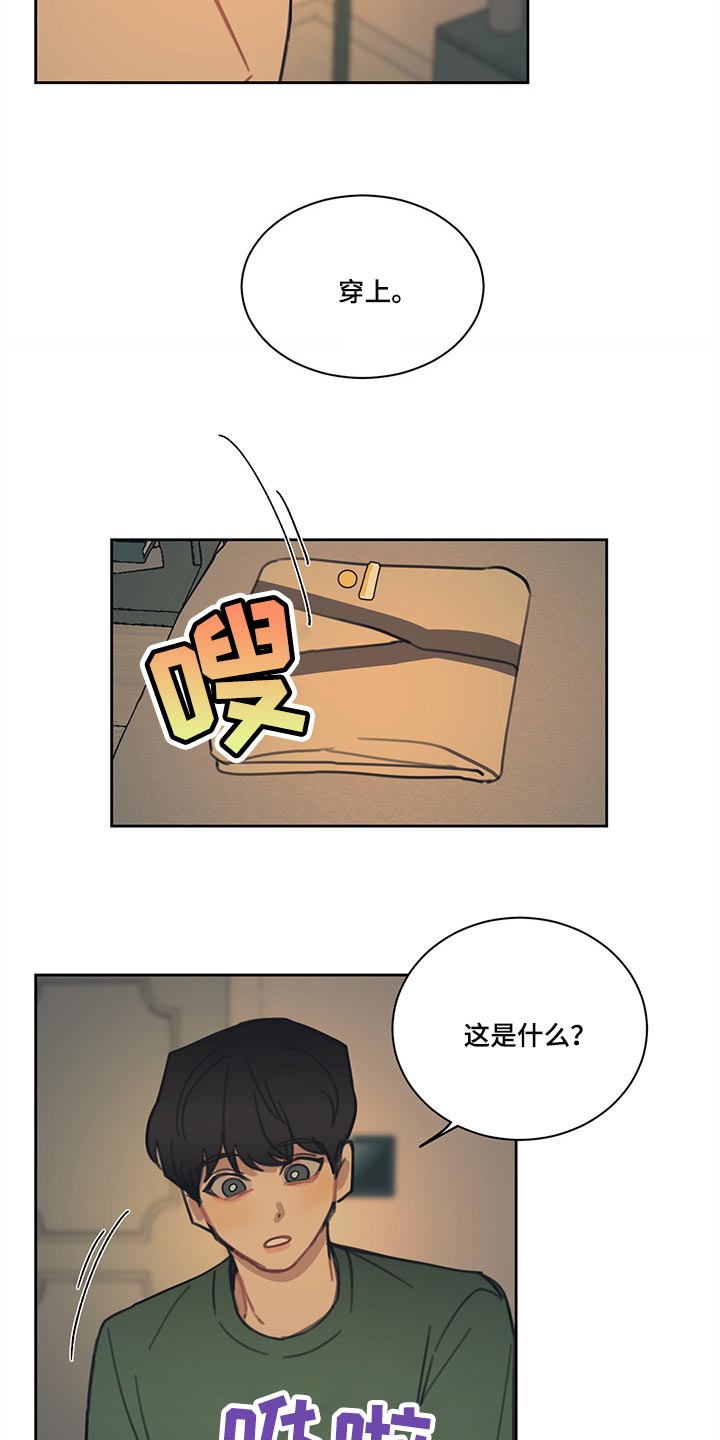 《惹祸上身》漫画最新章节第84章：【番外】特别的记忆免费下拉式在线观看章节第【8】张图片