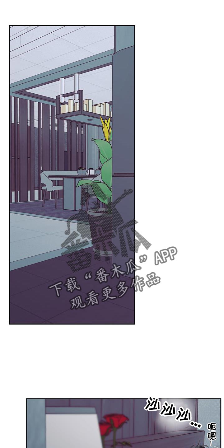 危险便利店-第178章：【第四季】膝枕全彩韩漫标签