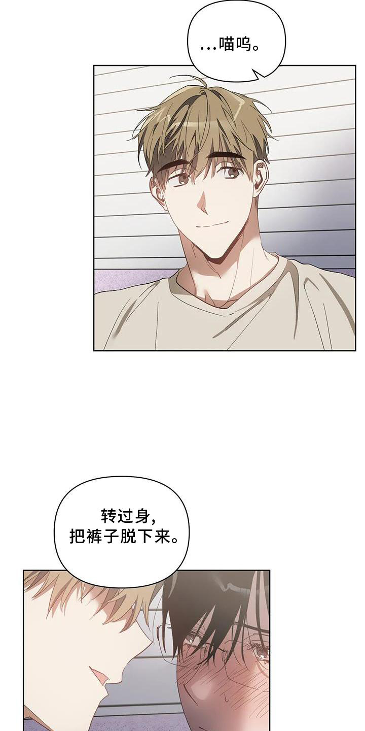 《猜不到样子》漫画最新章节第84章：奖励免费下拉式在线观看章节第【5】张图片