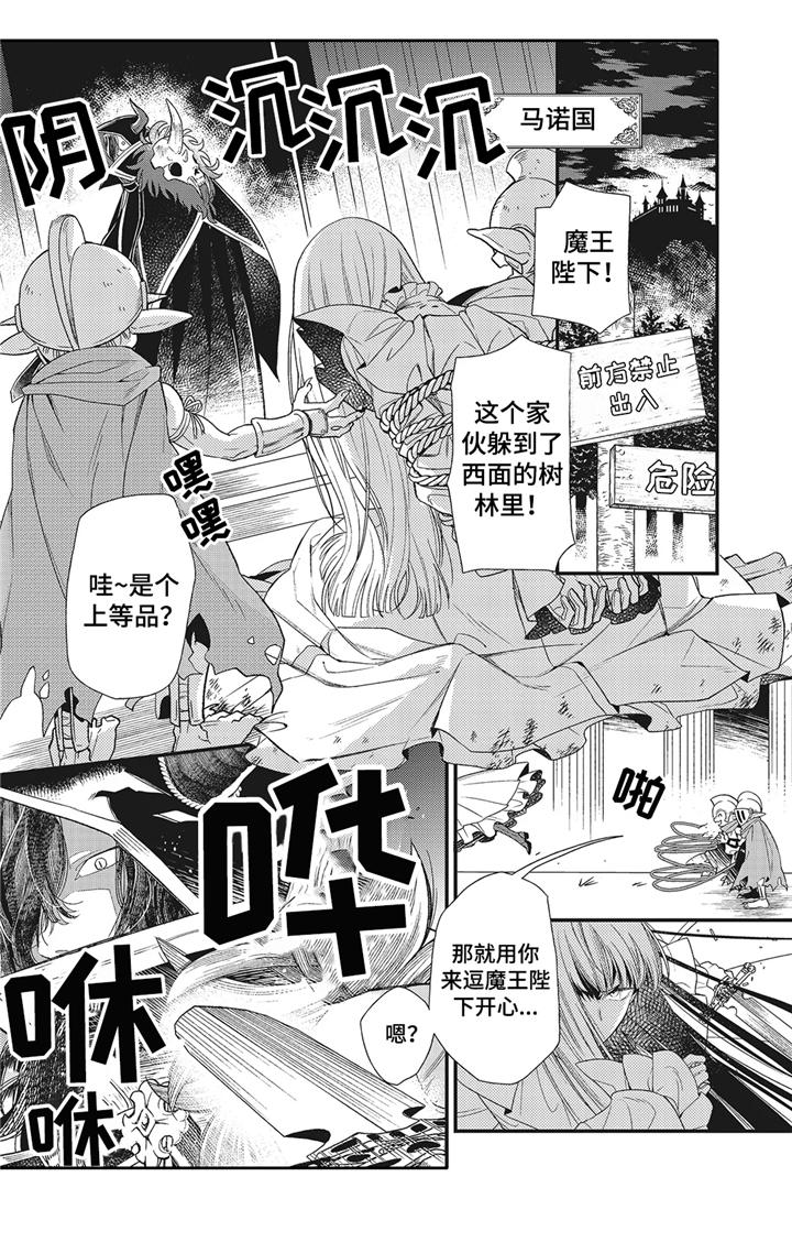 《魔王诺亚》漫画最新章节第1章：魔王城免费下拉式在线观看章节第【14】张图片