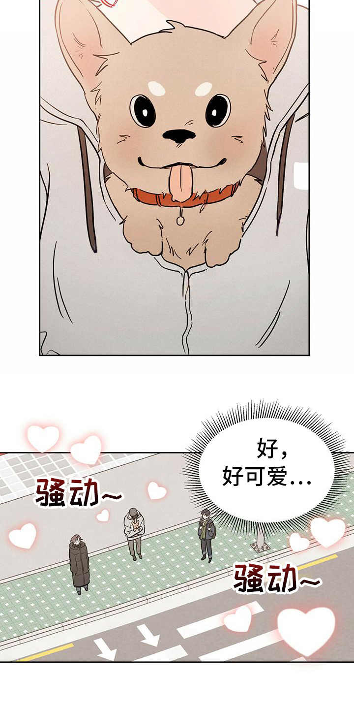 《恶魔快出来》漫画最新章节第1章：晕血免费下拉式在线观看章节第【14】张图片