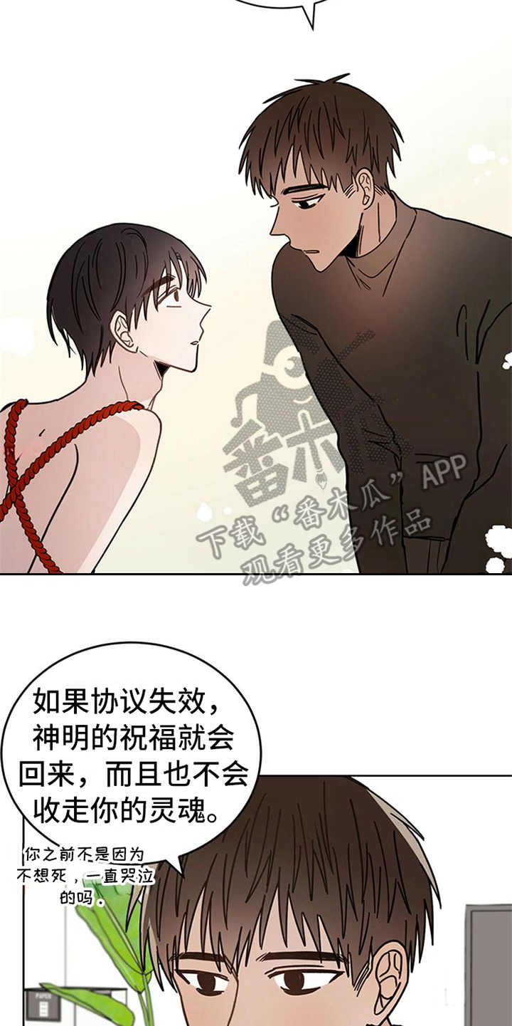 《恶魔快出来》漫画最新章节第6章：神的祝福免费下拉式在线观看章节第【7】张图片