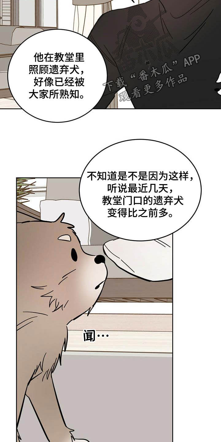 《恶魔快出来》漫画最新章节第24章：宠物捉迷藏免费下拉式在线观看章节第【21】张图片