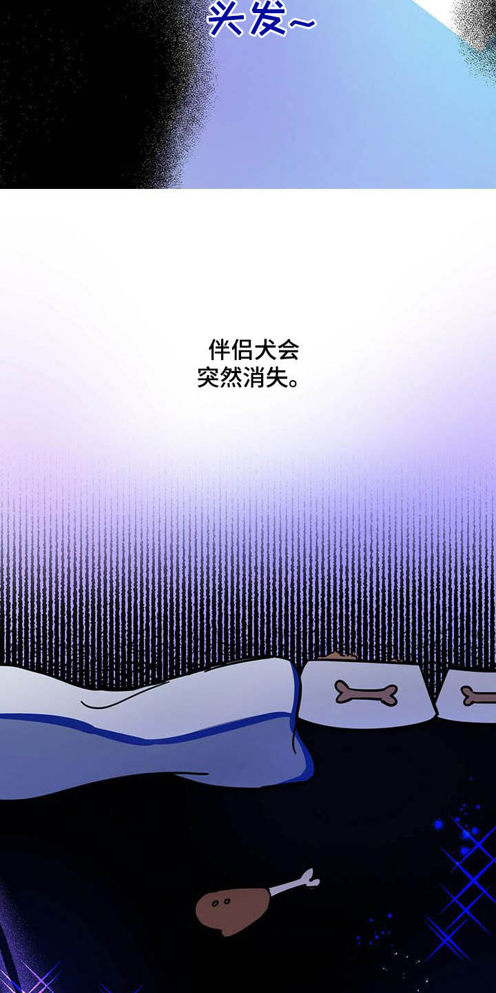 《恶魔快出来》漫画最新章节第24章：宠物捉迷藏免费下拉式在线观看章节第【15】张图片