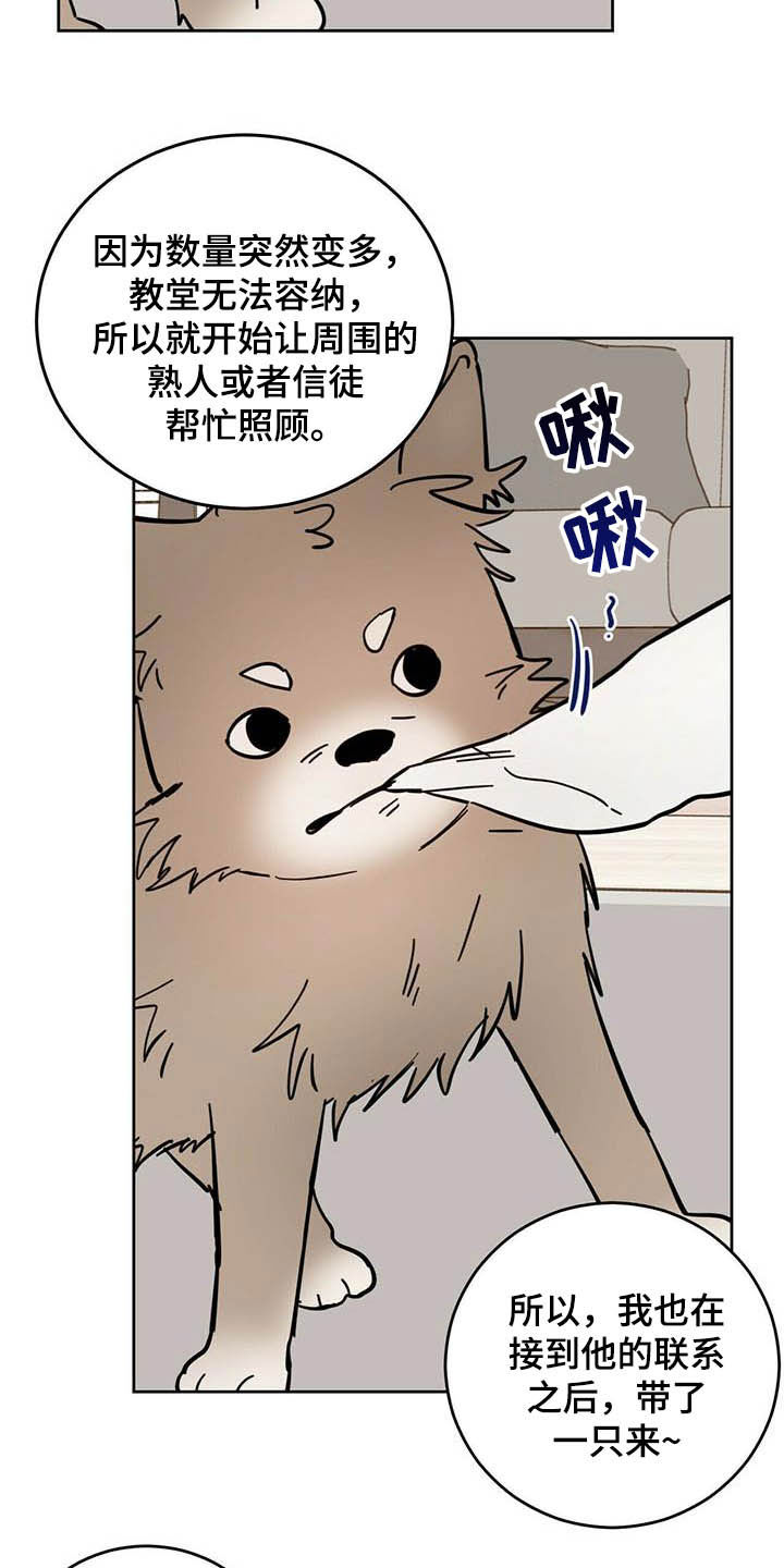 《恶魔快出来》漫画最新章节第24章：宠物捉迷藏免费下拉式在线观看章节第【20】张图片