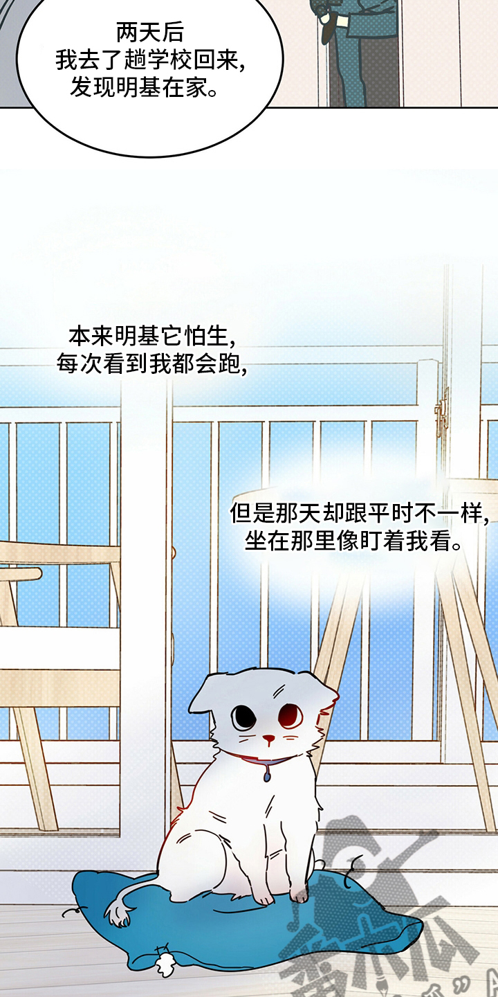 《恶魔快出来》漫画最新章节第26章：小狗免费下拉式在线观看章节第【13】张图片