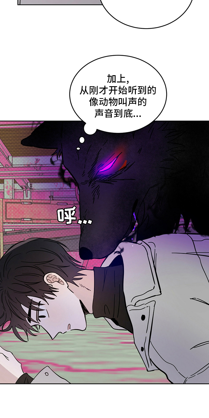 《恶魔快出来》漫画最新章节第27章：动物免费下拉式在线观看章节第【4】张图片