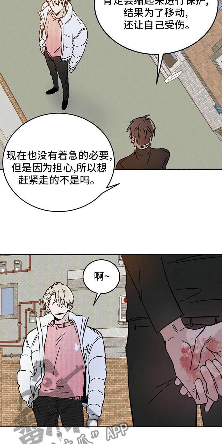 《恶魔快出来》漫画最新章节第27章：动物免费下拉式在线观看章节第【13】张图片