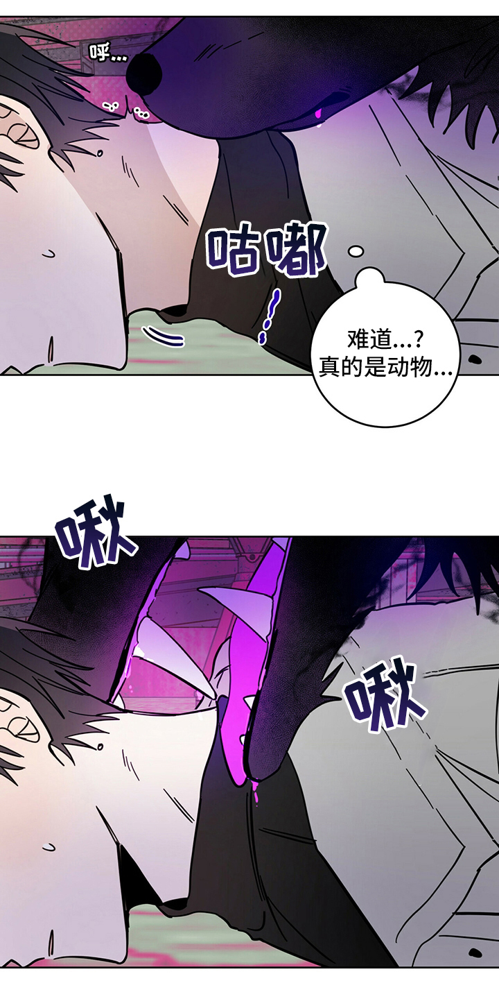 《恶魔快出来》漫画最新章节第27章：动物免费下拉式在线观看章节第【3】张图片