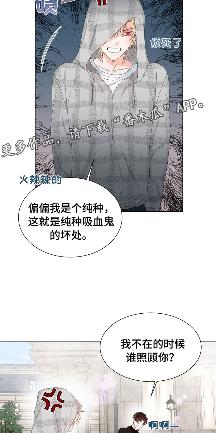 《傲娇小恶魔》漫画最新章节第4章：拌嘴免费下拉式在线观看章节第【5】张图片