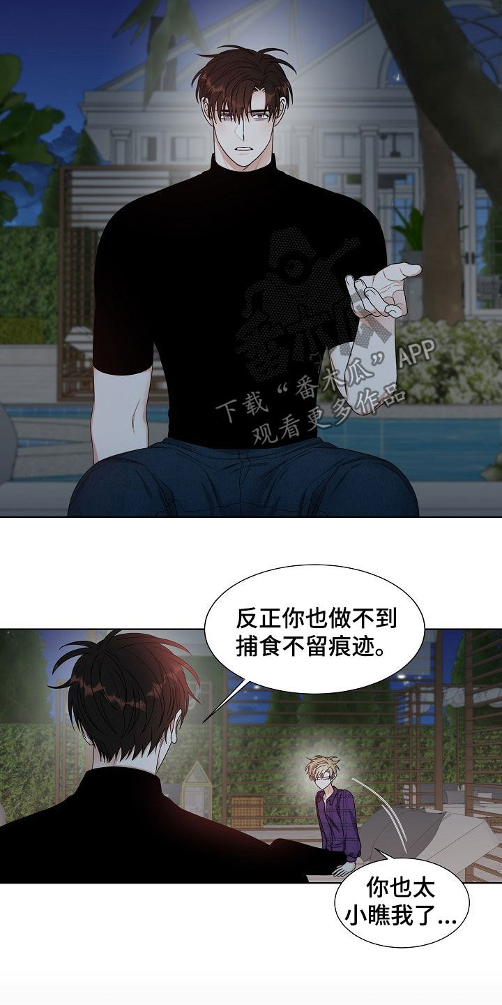 《傲娇小恶魔》漫画最新章节第17章：捕食免费下拉式在线观看章节第【11】张图片