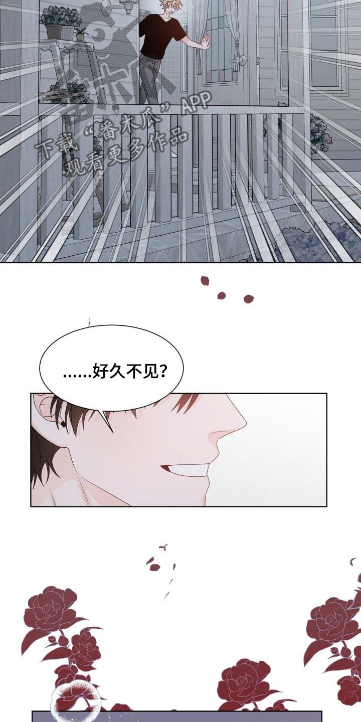 《傲娇小恶魔》漫画最新章节第62章：让我吻你（完结）免费下拉式在线观看章节第【8】张图片