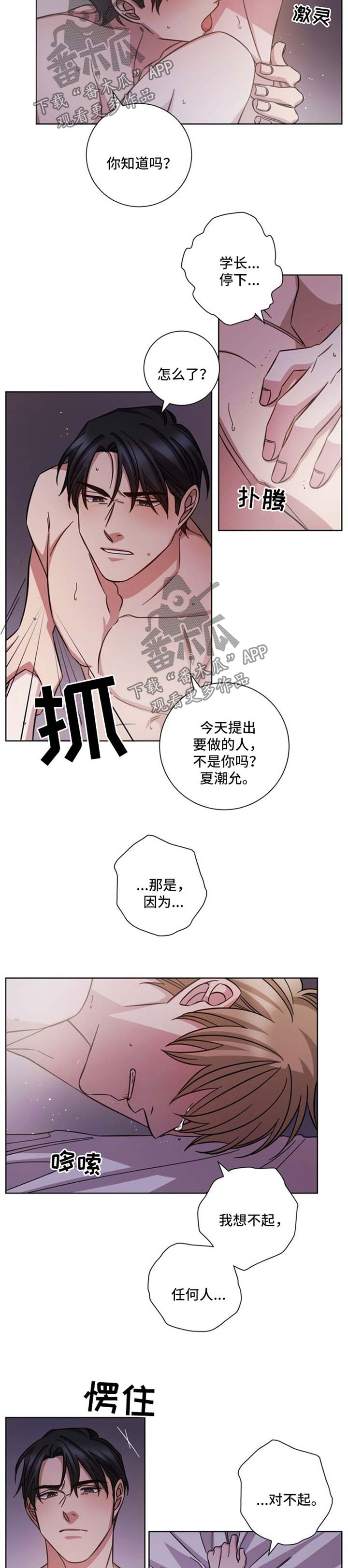 《即兴伴侣》漫画最新章节第38章：失而复得免费下拉式在线观看章节第【8】张图片