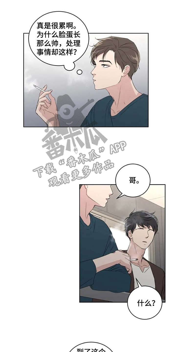 《恋爱理论》漫画最新章节第14章：好奇免费下拉式在线观看章节第【11】张图片