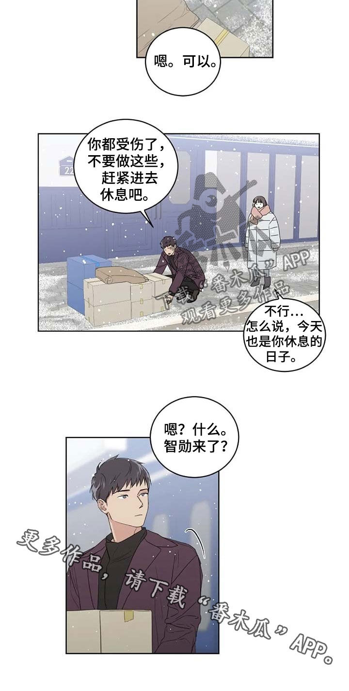 《恋爱理论》漫画最新章节第29章：受伤免费下拉式在线观看章节第【1】张图片