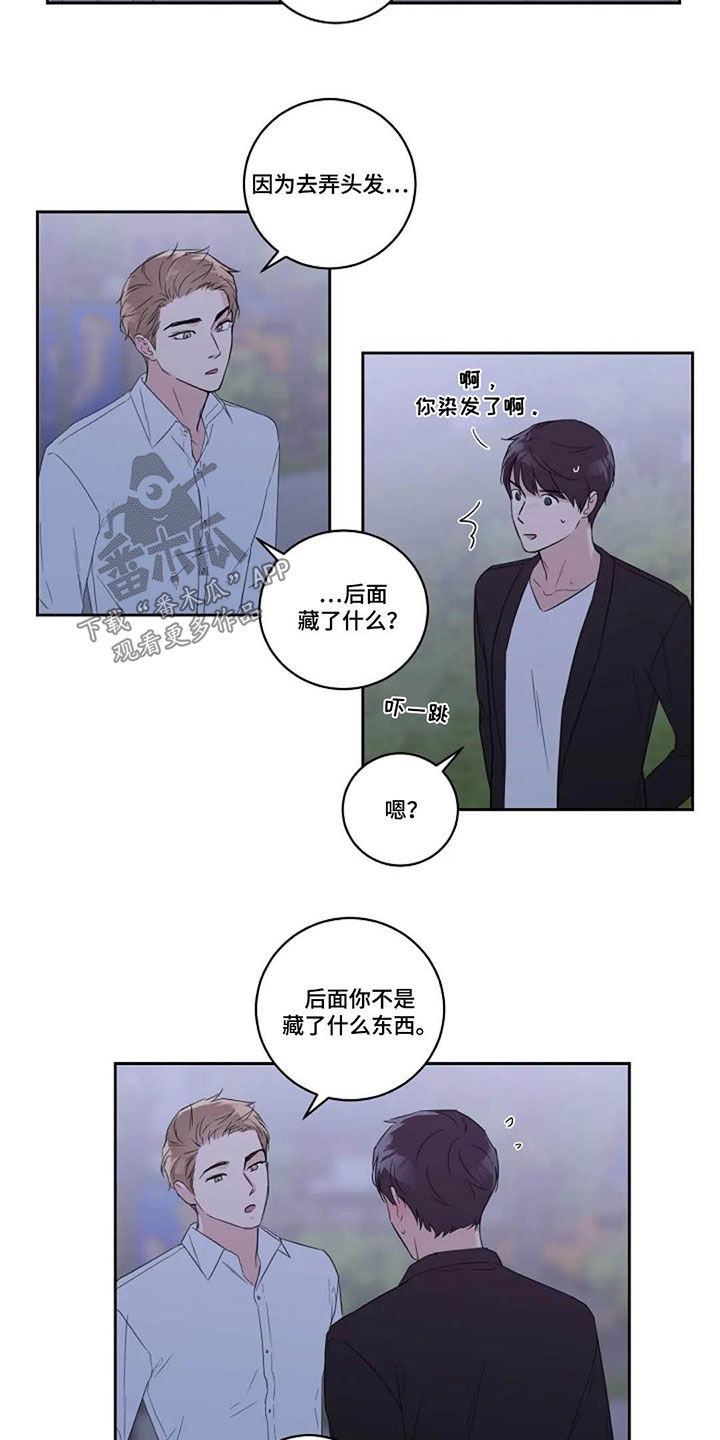 《恋爱理论》漫画最新章节第43章：正式免费下拉式在线观看章节第【4】张图片