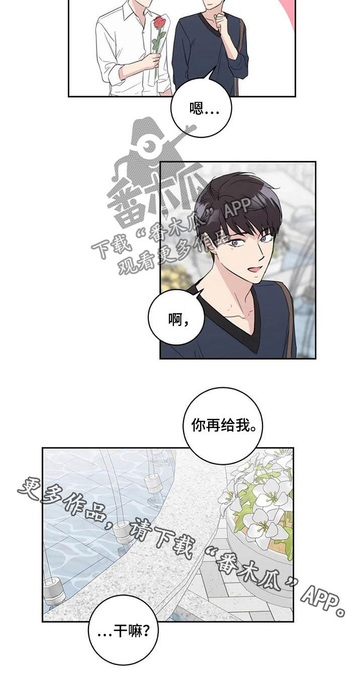 《恋爱理论》漫画最新章节第49章：花香免费下拉式在线观看章节第【1】张图片