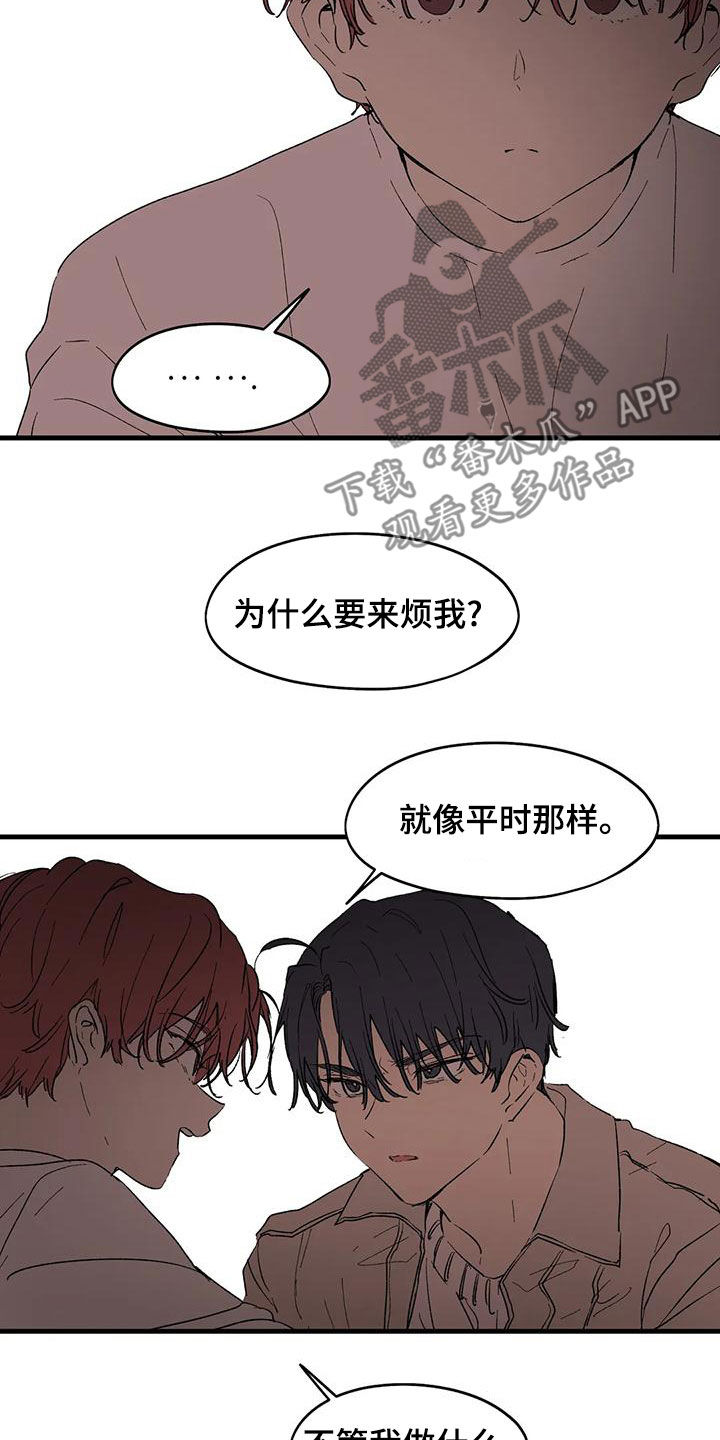 《花哨的条件》漫画最新章节第65章：像家人一样免费下拉式在线观看章节第【7】张图片