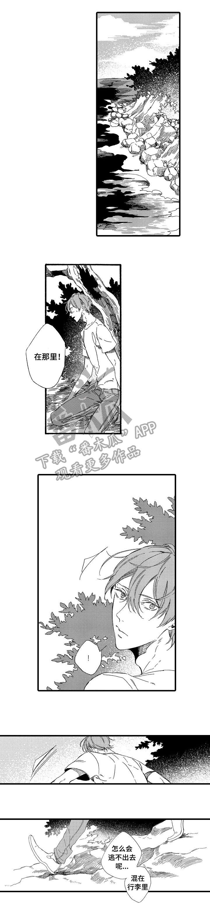 《欧米伽小岛》漫画最新章节第4章：房间免费下拉式在线观看章节第【4】张图片