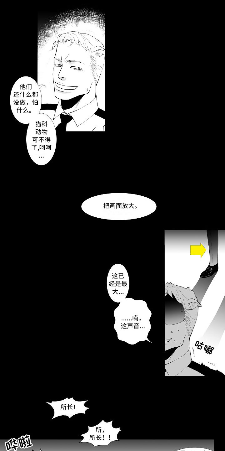 《最后的重逢》漫画最新章节第2章：腥风血雨免费下拉式在线观看章节第【8】张图片