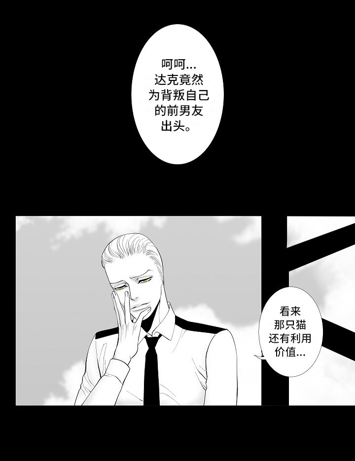 《最后的重逢》漫画最新章节第3章：暗中观察免费下拉式在线观看章节第【1】张图片