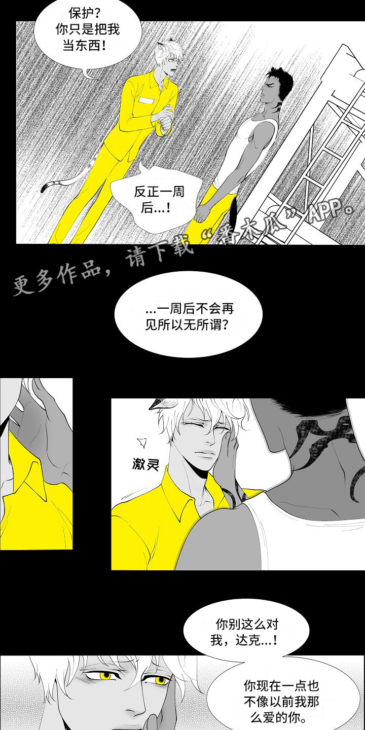 《最后的重逢》漫画最新章节第4章：被逼疯了免费下拉式在线观看章节第【13】张图片