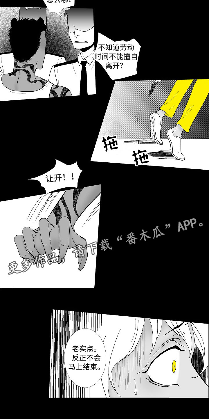 《最后的重逢》漫画最新章节第5章：横插一手免费下拉式在线观看章节第【2】张图片