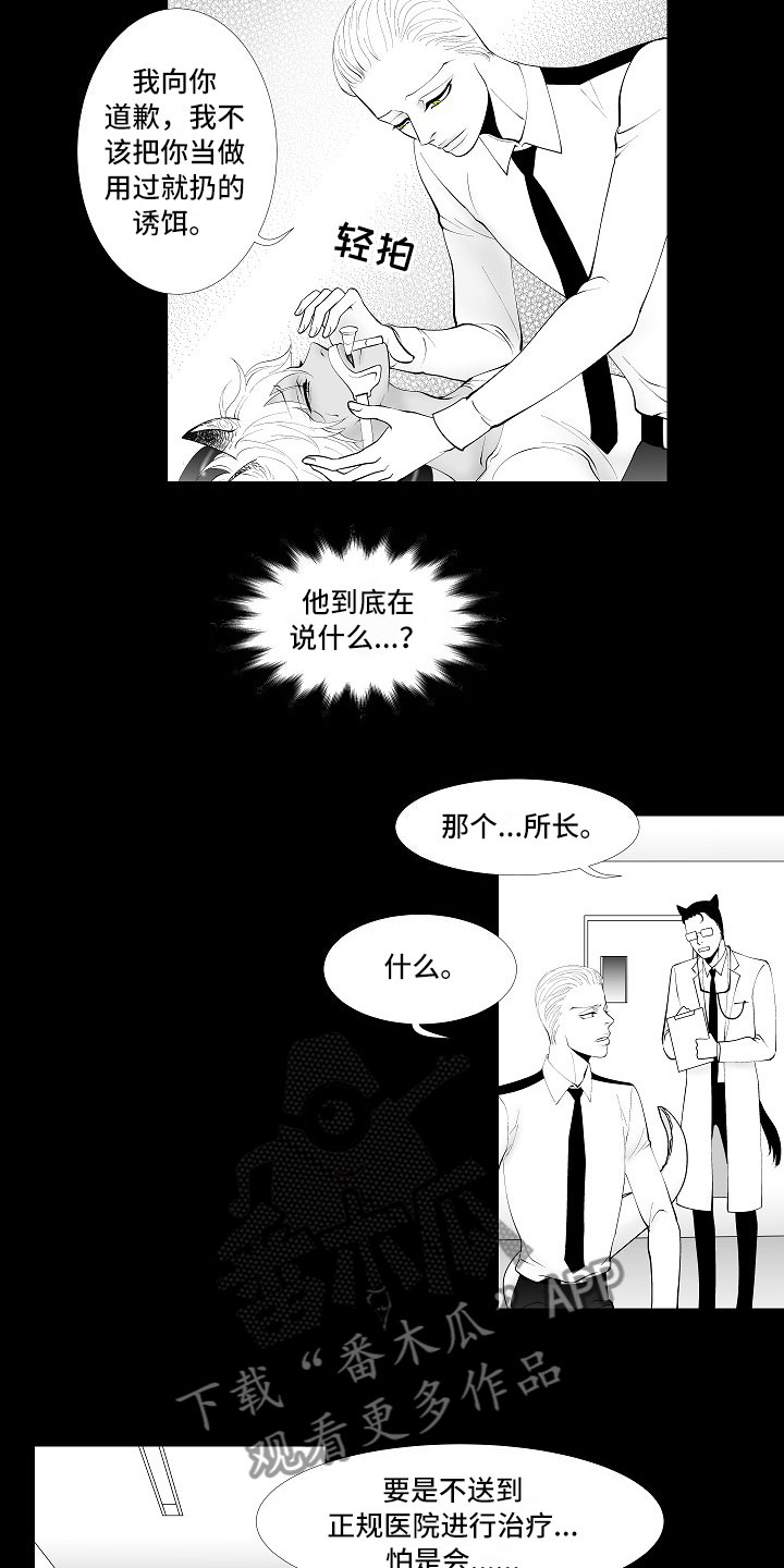 《最后的重逢》漫画最新章节第9章：律师电话免费下拉式在线观看章节第【8】张图片