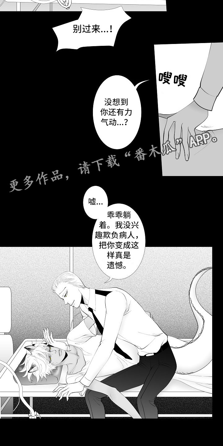 《最后的重逢》漫画最新章节第9章：律师电话免费下拉式在线观看章节第【11】张图片