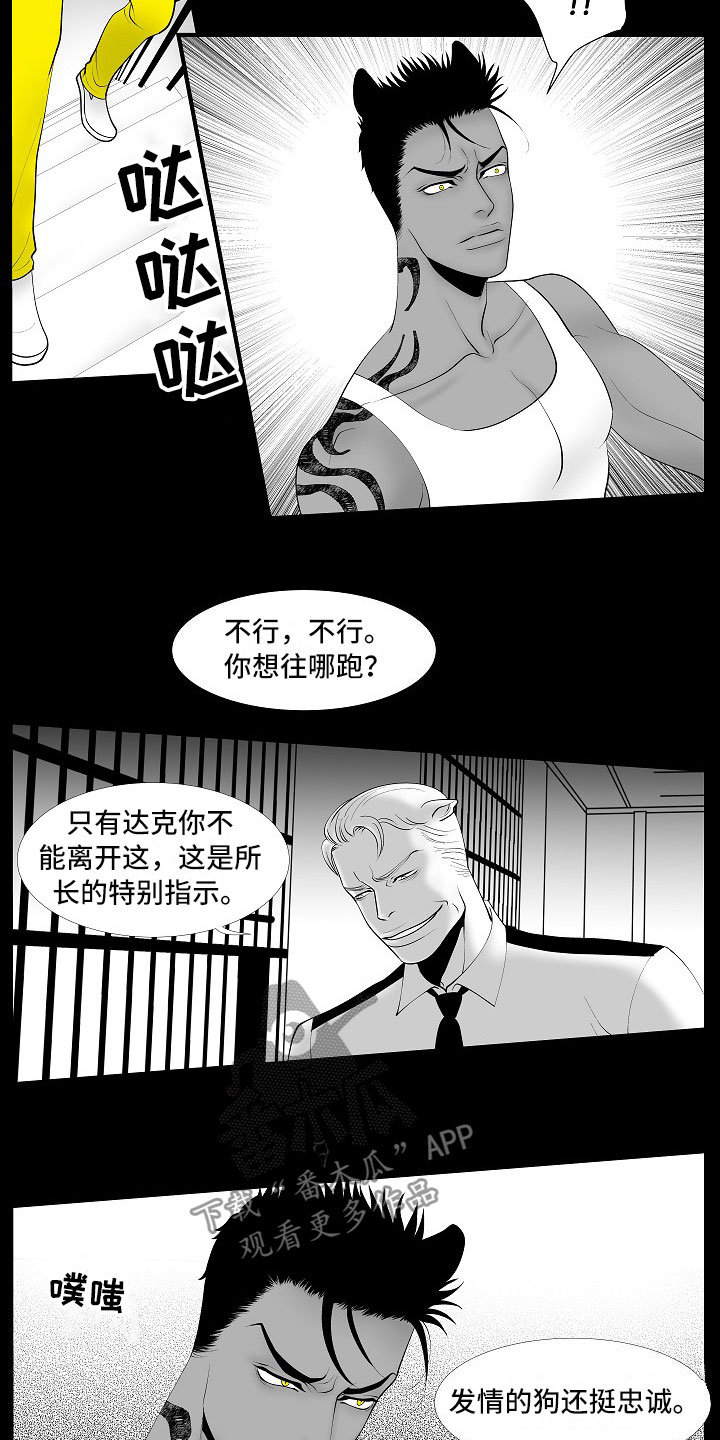 《最后的重逢》漫画最新章节第13章：重要的事免费下拉式在线观看章节第【8】张图片