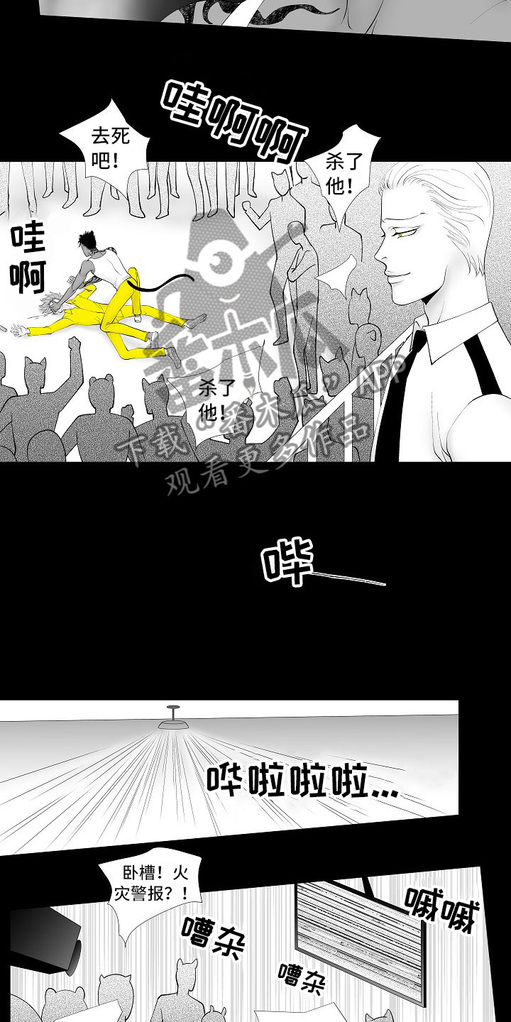 《最后的重逢》漫画最新章节第13章：重要的事免费下拉式在线观看章节第【14】张图片