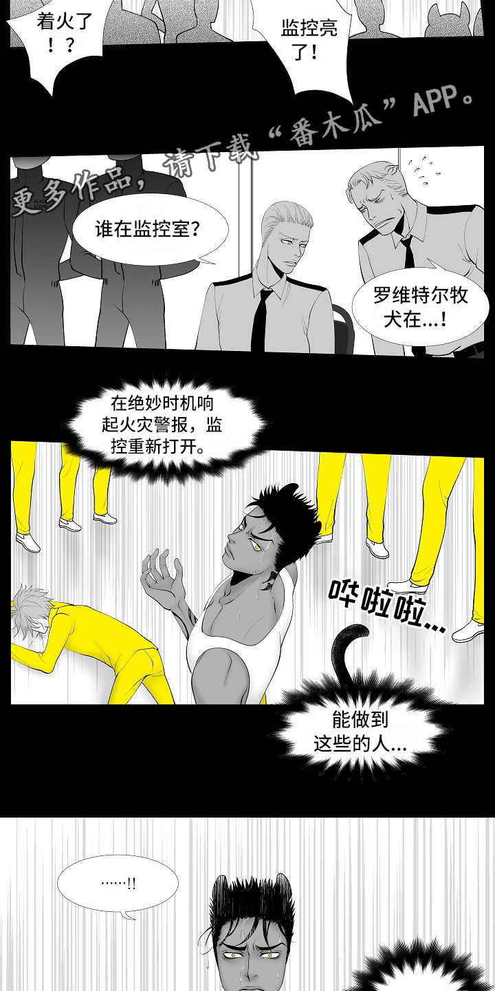 《最后的重逢》漫画最新章节第13章：重要的事免费下拉式在线观看章节第【13】张图片