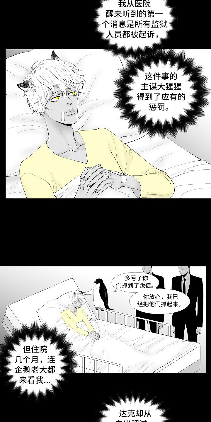 《最后的重逢》漫画最新章节第14章：尘埃落定免费下拉式在线观看章节第【4】张图片