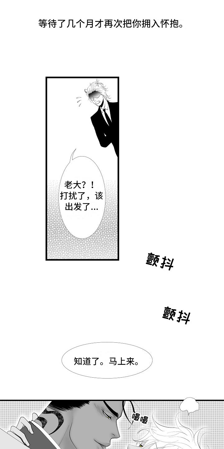 《最后的重逢》漫画最新章节第14章：尘埃落定免费下拉式在线观看章节第【8】张图片