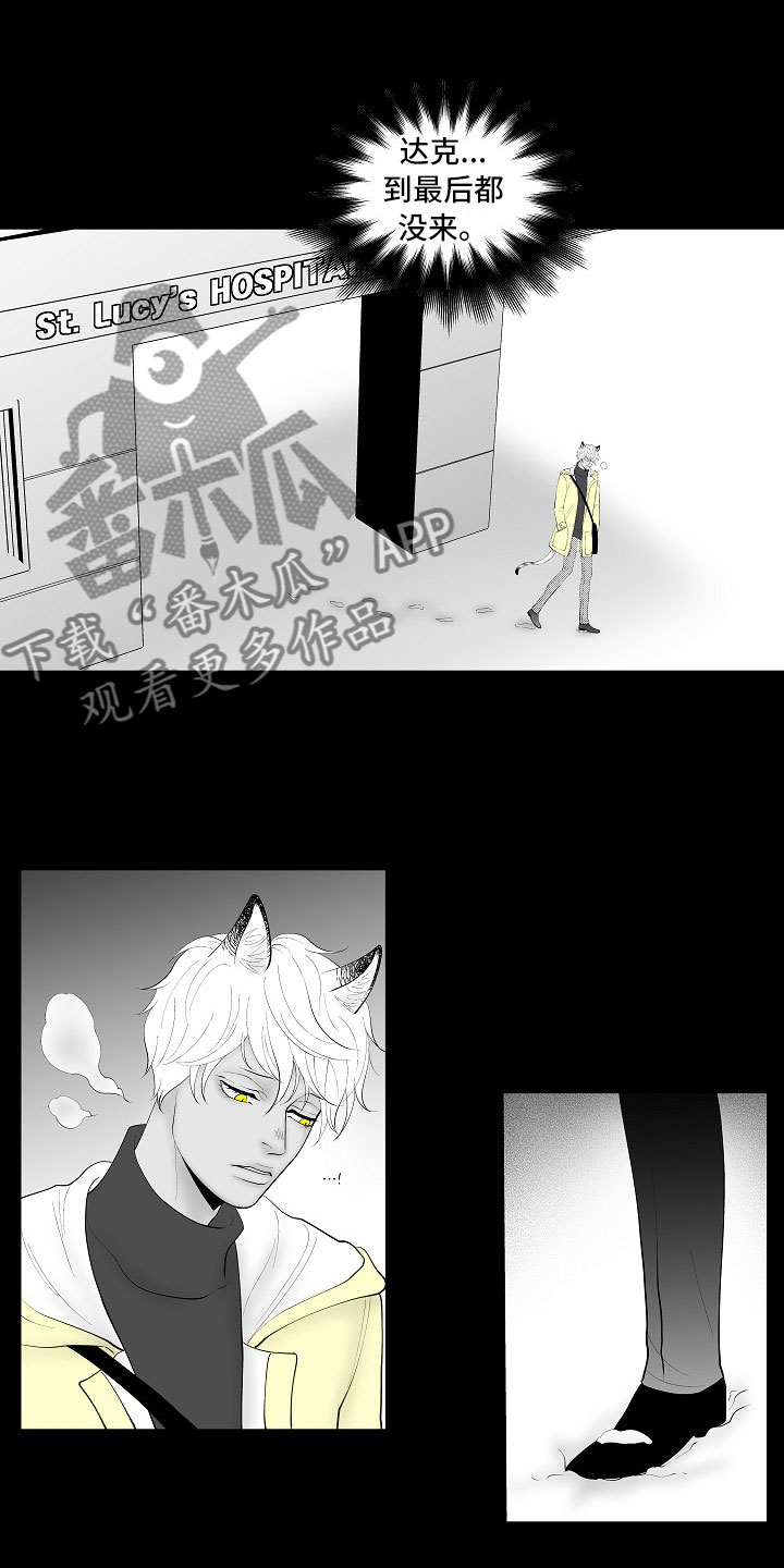 《最后的重逢》漫画最新章节第14章：尘埃落定免费下拉式在线观看章节第【2】张图片