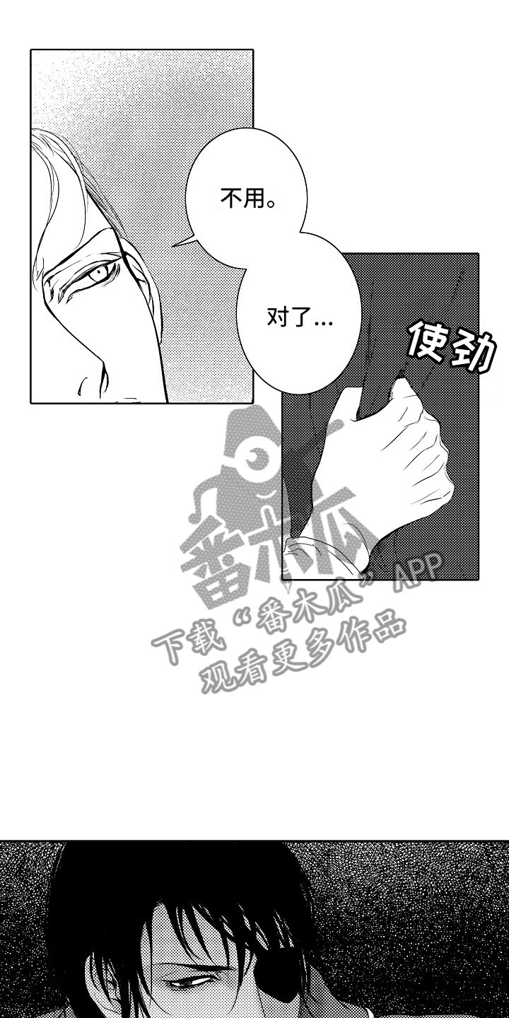 《最后的重逢》漫画最新章节第19章：夜想曲：俘虏免费下拉式在线观看章节第【11】张图片