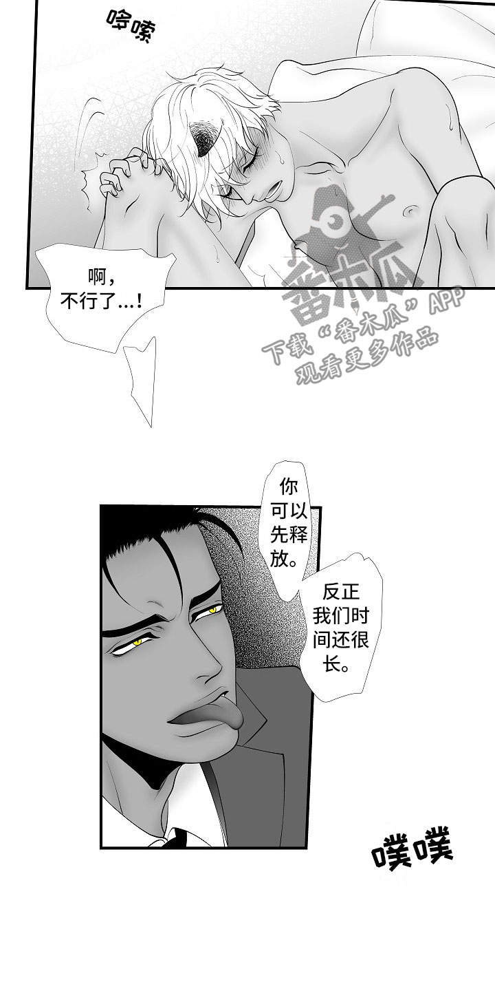 《最后的重逢》漫画最新章节第20章：夜想曲：奴隶免费下拉式在线观看章节第【8】张图片