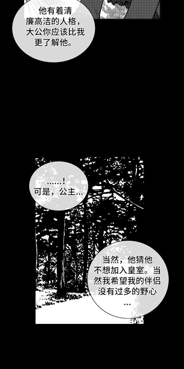 《最后的重逢》漫画最新章节第26章：夜想曲：公主免费下拉式在线观看章节第【21】张图片