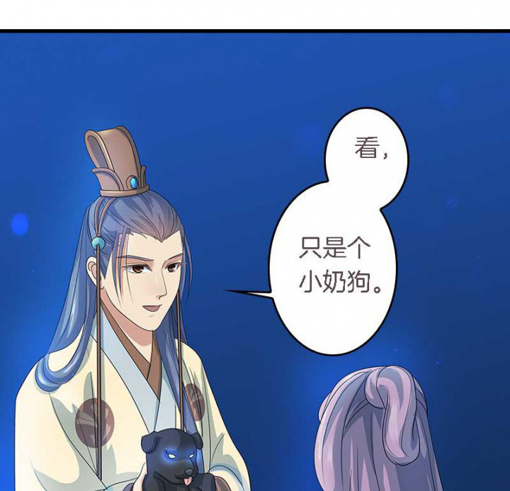 《朕的老婆们全挂了》漫画最新章节第22章：刀下留狗免费下拉式在线观看章节第【5】张图片