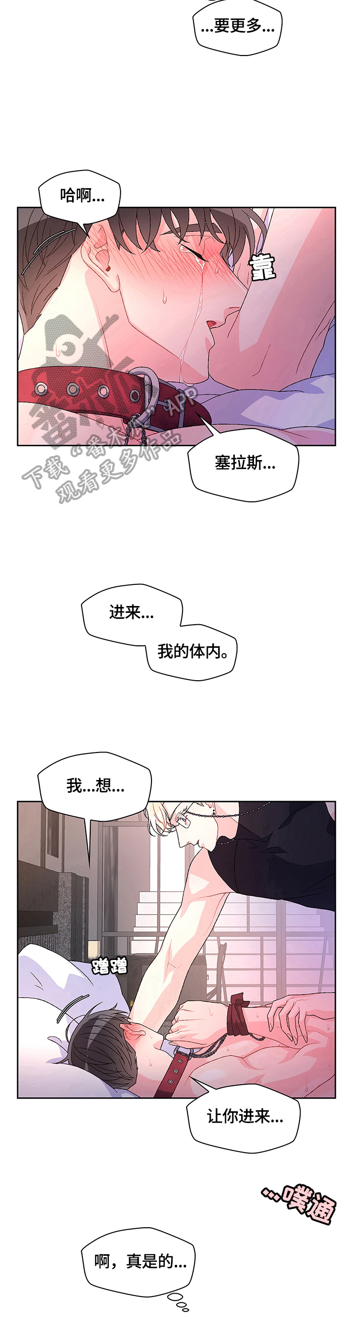 《亚瑟的爱好》漫画最新章节第41章：只有我能看免费下拉式在线观看章节第【5】张图片