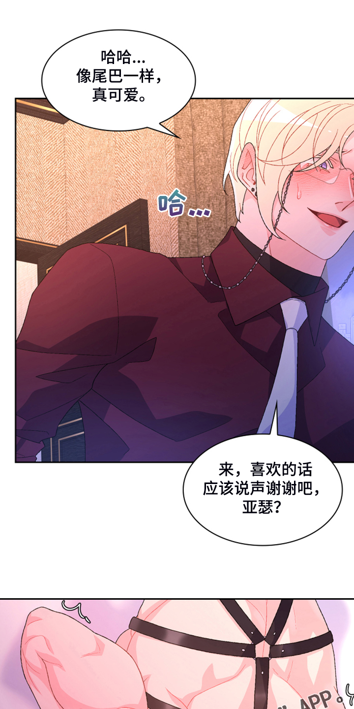 《亚瑟的爱好》漫画最新章节第141章：【第二季】第一次买免费下拉式在线观看章节第【2】张图片