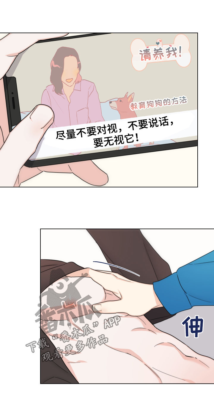 《请继续爱我》漫画最新章节第59章：【第二季】开始上班免费下拉式在线观看章节第【21】张图片