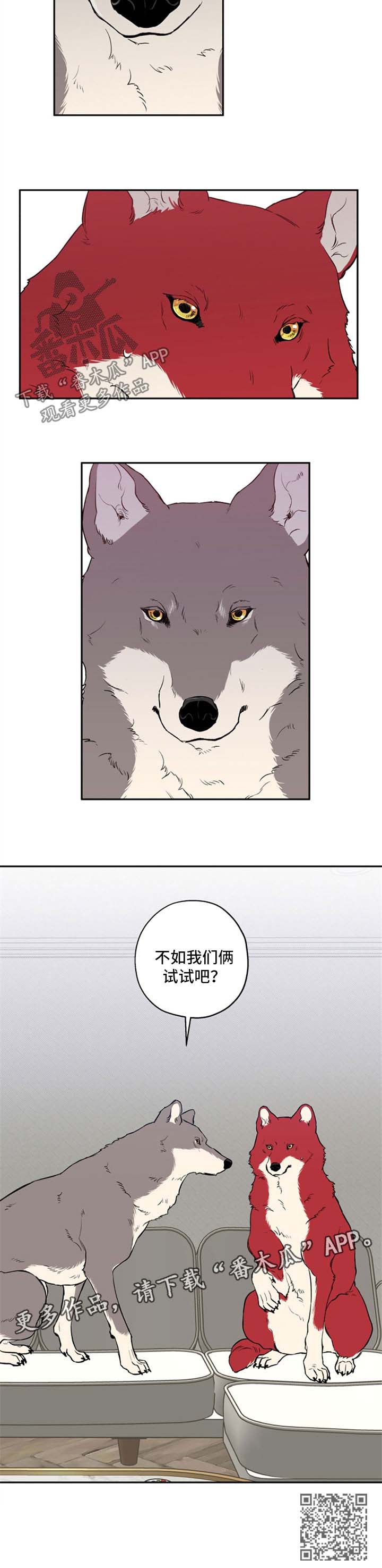 《赤狼》漫画最新章节第34章：不如我们俩试试免费下拉式在线观看章节第【1】张图片